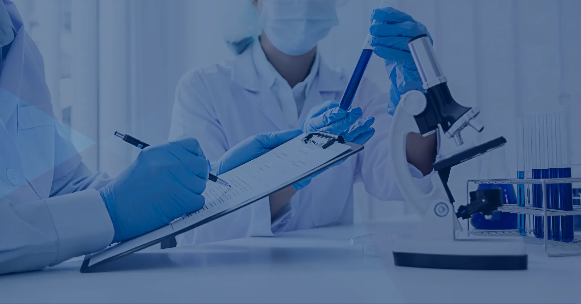 Apoio com a qualidade 